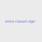 Agence immobiliere amina staoueli alger